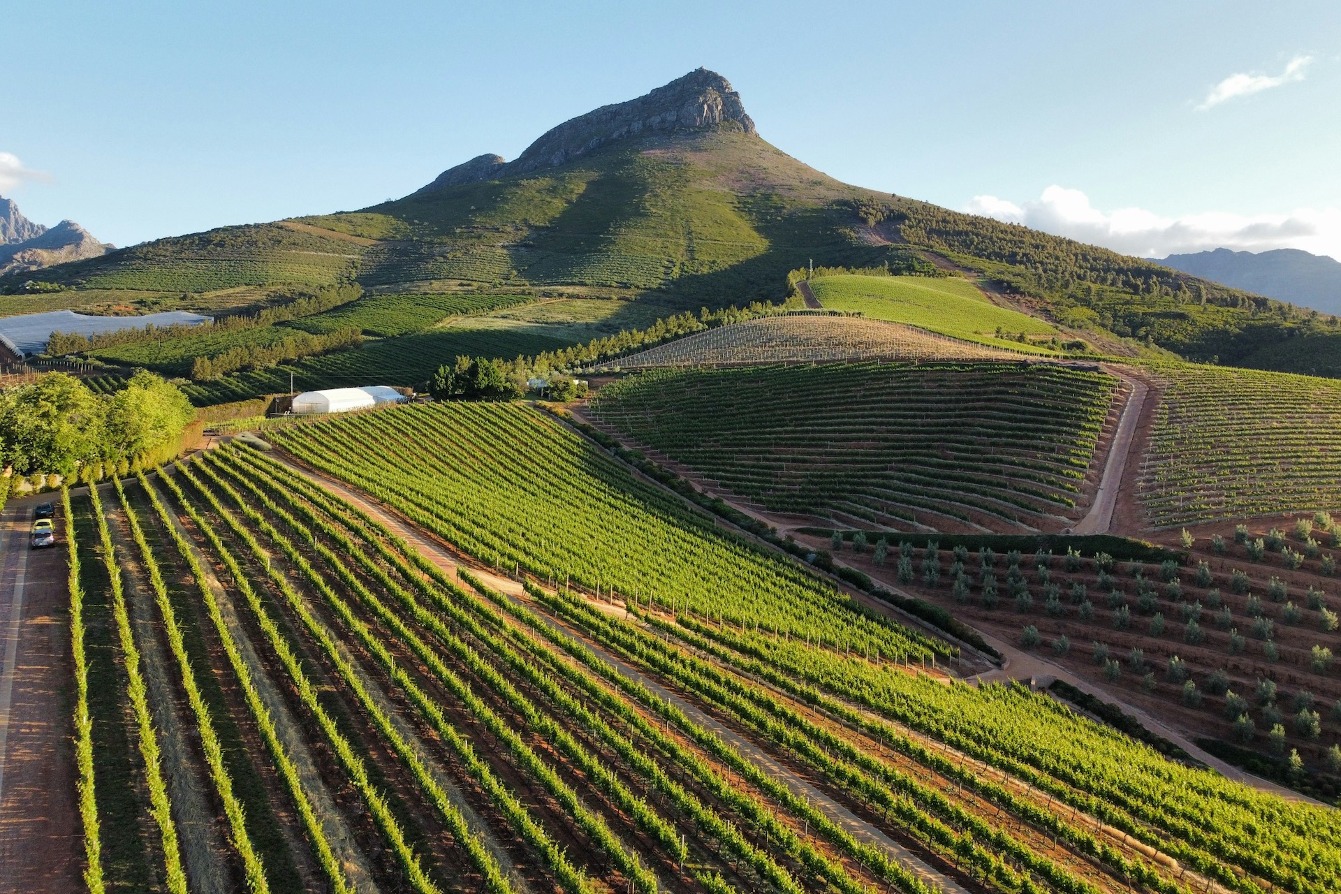 Cape Winelands